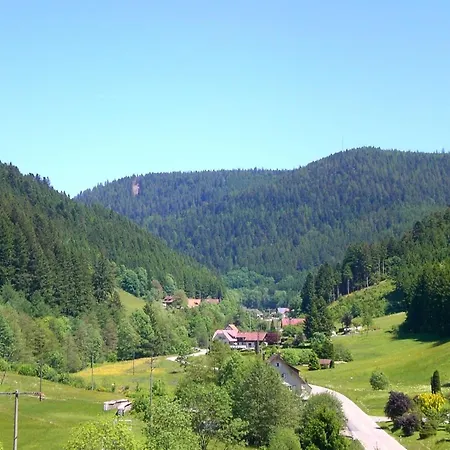 Apartment With A View Bad Rippoldsau-Schapbach