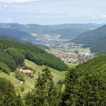 Hideaway Near Black Forest شقة *