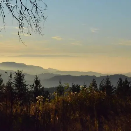 شقة Hideaway Near Black Forest Bad Rippoldsau-Schapbach