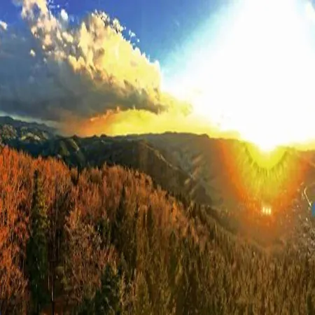 شقة Hideaway Near Black Forest Bad Rippoldsau-Schapbach