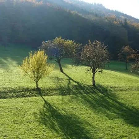 Apartman Hideaway Near Black Forest *