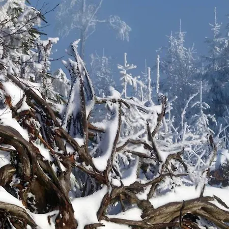 Hideaway Near Black Forest Bad Rippoldsau-Schapbach