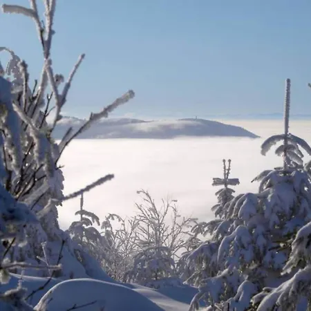 Hideaway Near Black Forest * Bad Rippoldsau-Schapbach