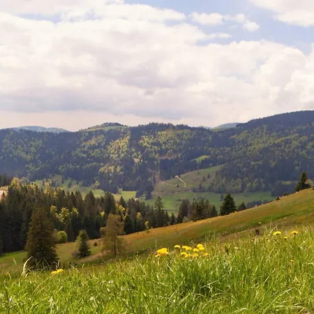 Hideaway Near Black Forest