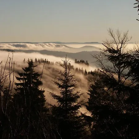 شقة Hideaway Near Black Forest Bad Rippoldsau-Schapbach