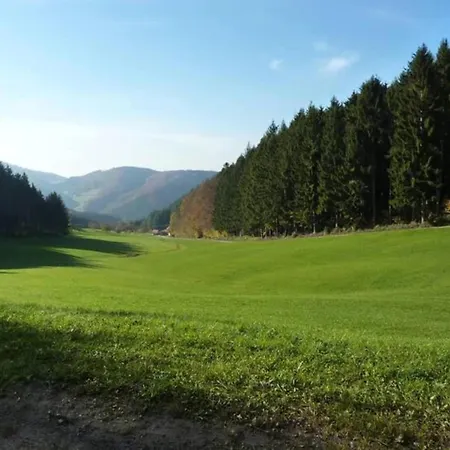 Hideaway Near Black Forest