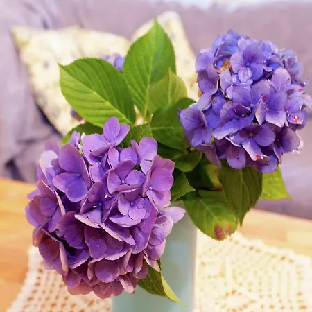 Hideaway Near Black Forest شقة Bad Rippoldsau-Schapbach