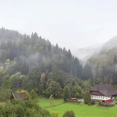 Hideaway Near Black Forest شقة