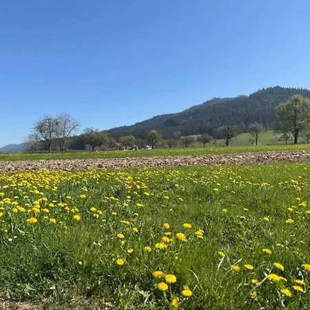 Hideaway Near Black Forest Apartman *