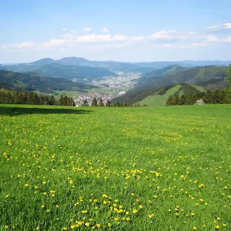 Hideaway Near Black Forest