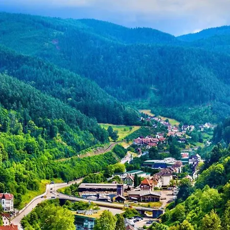 Hideaway Near Black Forest Appartamento *